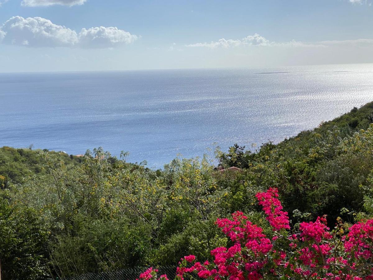 Appartamento Locations Morne Aux Vents Fond Boucher Esterno foto