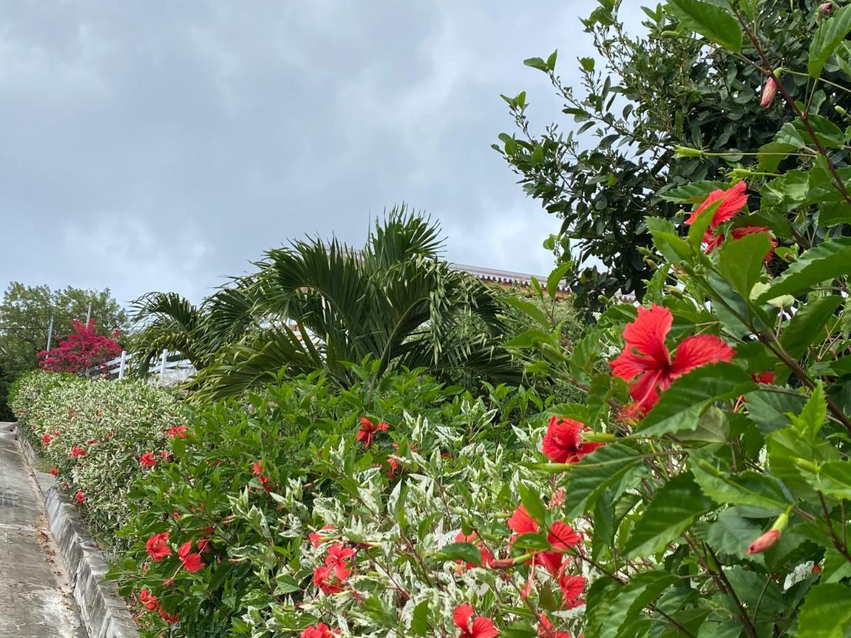 Appartamento Locations Morne Aux Vents Fond Boucher Esterno foto